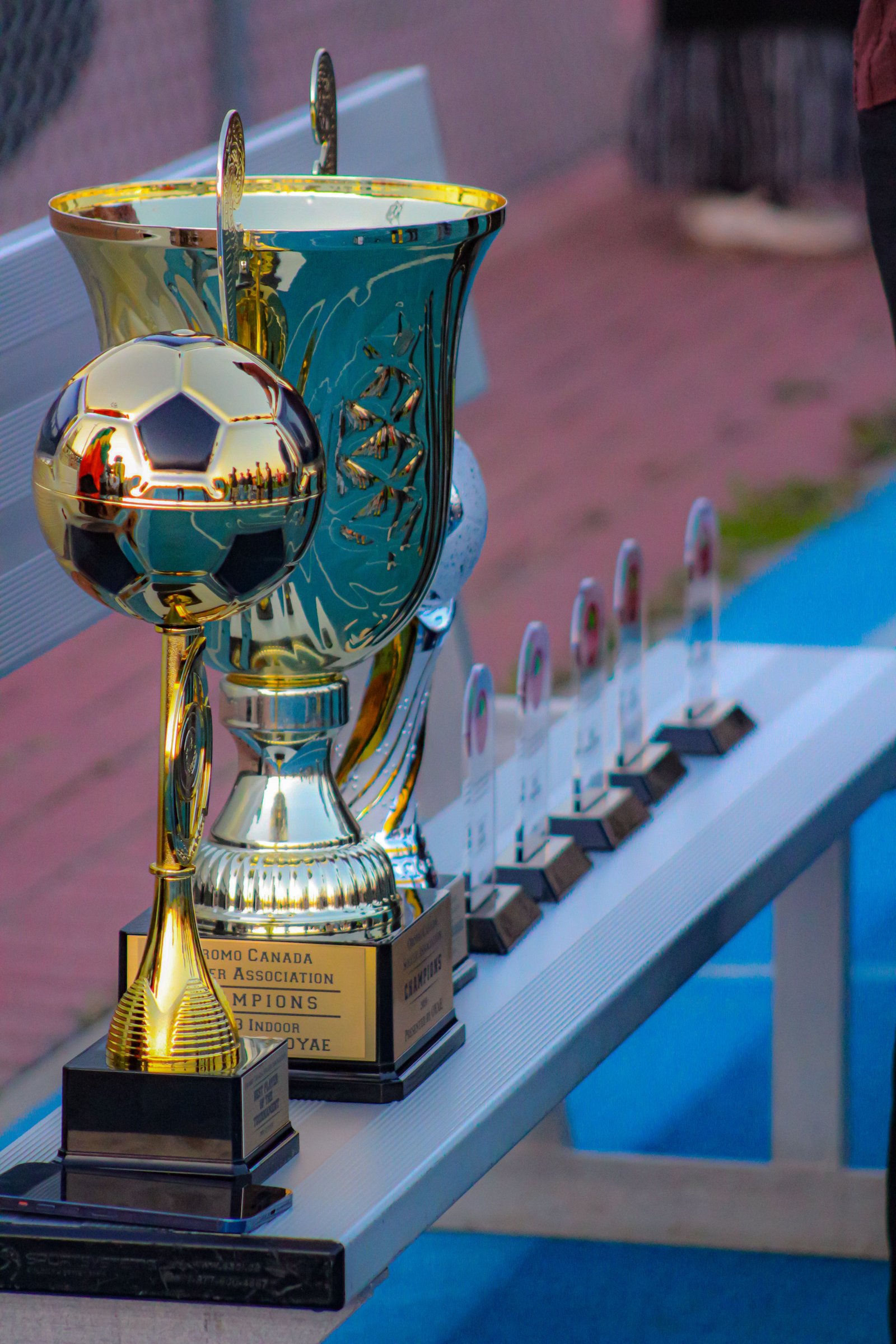 Trophies & awards