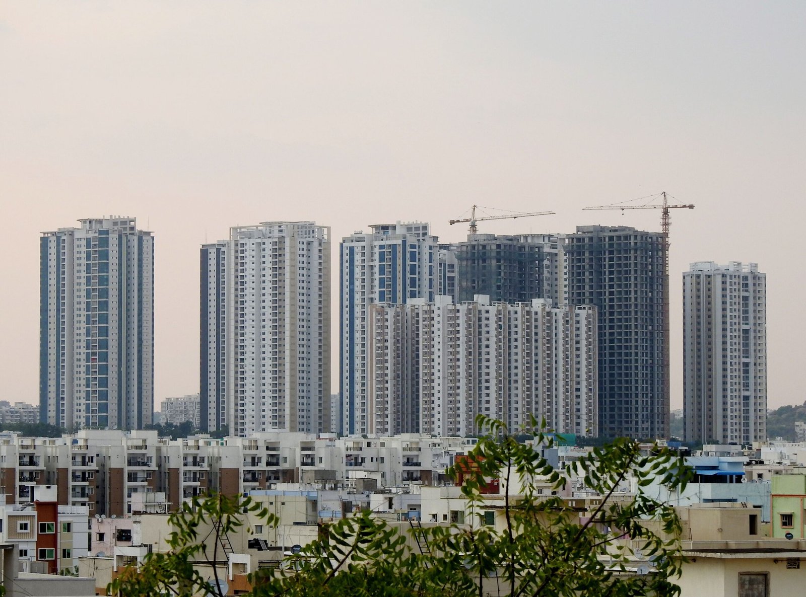 Development & growth